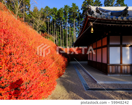 Kageyama Kannon秋葉 59948242