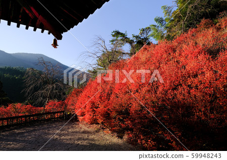 Kageyama Kannon秋葉 59948243