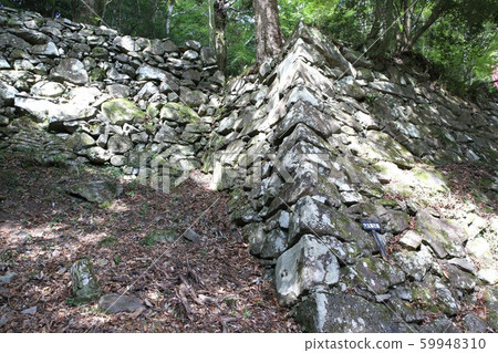 Kakunore Castle 59948310