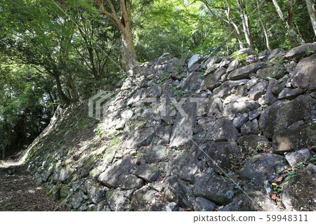 Kakunore Castle 59948311