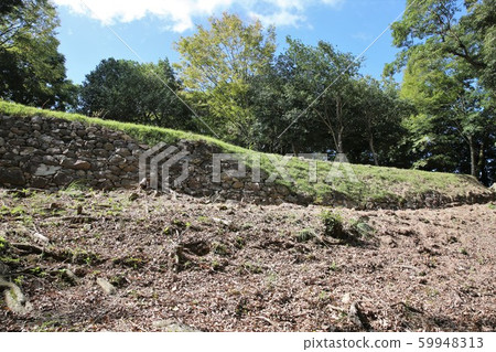 卡庫諾雷城堡 59948313