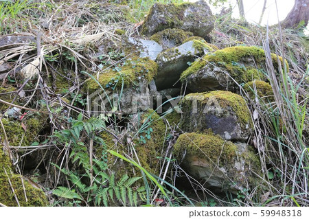 Kakunore Castle 59948318