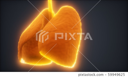 loop 3d rendered medically accurate animation of loop 3d rendered medically accurate animation of 59949625