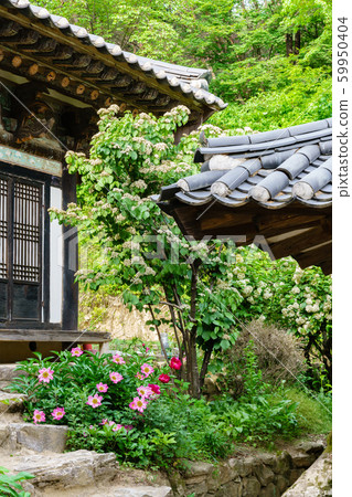 Beautiful wooden building of Andong traditional hanok in korea Beautiful wooden building of Andong traditional hanok in korea 59950404