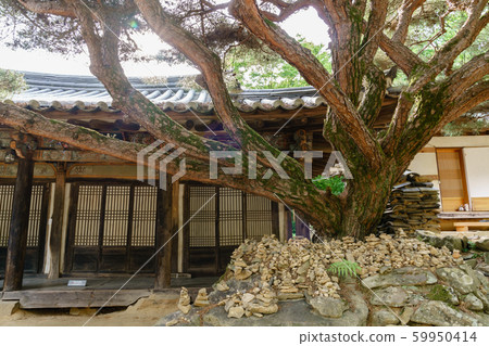Beautiful wooden building of Andong traditional hanok in korea 59950414