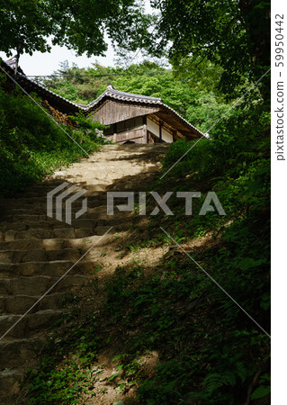 韓國安東傳統韓屋的美麗木製建築 59950442