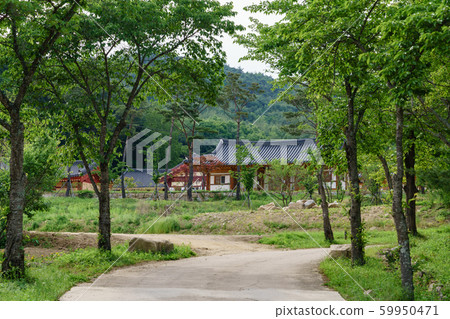 韓國安東傳統韓屋的美麗木製建築 59950471