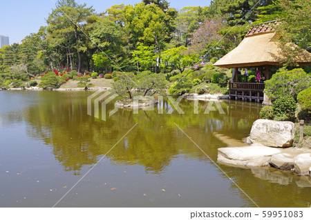 Shukkei-en-no-ike Pond and Shia no Tei 59951083