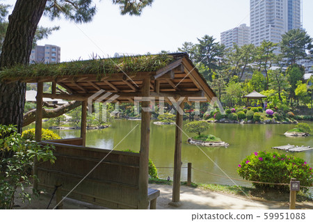 Shukukeien的東部和池塘的景色 59951088