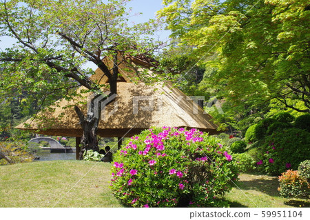 View of Shukukeien's Azuma and azalea View of Shukukeien's Azuma and azalea 59951104