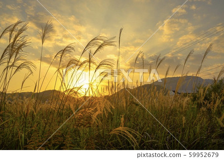 日落和Susuki 59952679