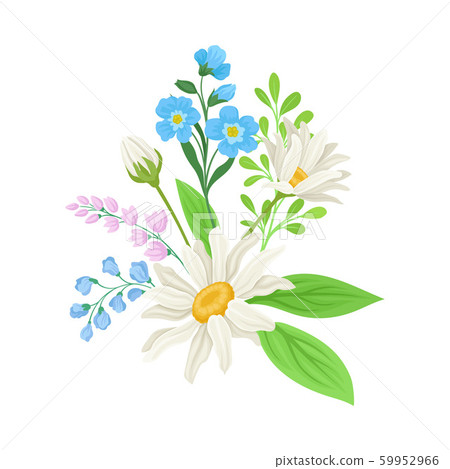 Bouquet of Daisy Flowers Vector Composition. Natural Floral Decoration 59952966