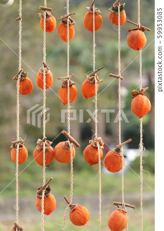 我們做乾柿子吧 59953085