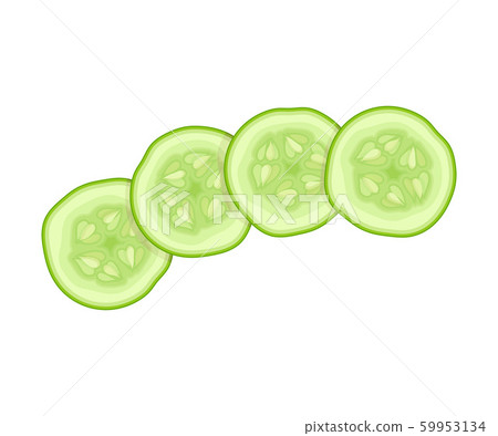 Fresh Sliced Cucumber Vector Element. Green Juiced Vegetable 59953134