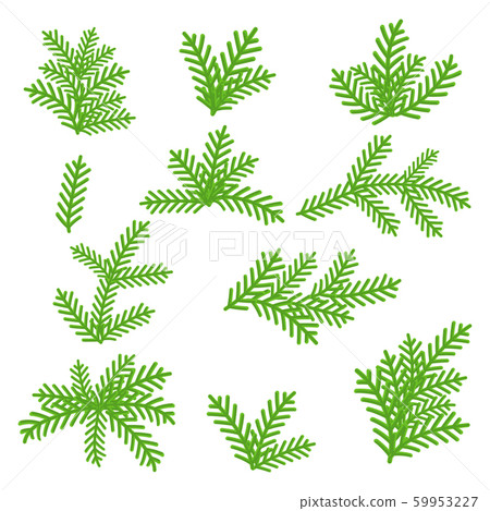 Fir branches with a cone. For Christmas wreath, border, or frames 59953227