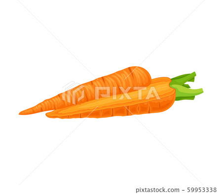 Fresh Raw Carrot Vertically Cut Into Two Halves Vector Elements Fresh Raw Carrot Vertically Cut Into Two Halves Vector Elements 59953338