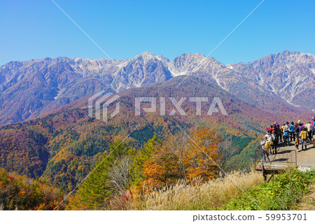 從觀景台俯瞰白馬山:白馬岩武避暑山莊,北住郡白馬村 從觀景台俯瞰白馬山:白馬岩武避暑山莊,北住郡白馬村 59953701