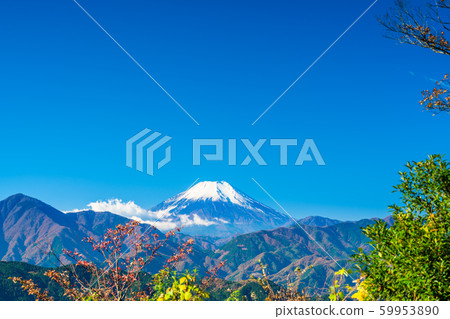 東京高尾山頂的富士山 59953890