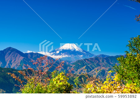 東京高尾山頂的富士山 59953892