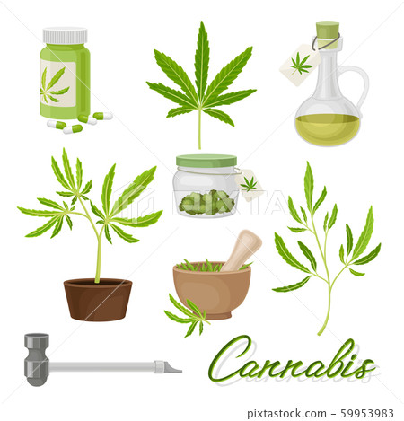 Marijuana or Cannabis Vector Volume Set. Medical Smoking Weed Marijuana or Cannabis Vector Volume Set. Medical Smoking Weed 59953983