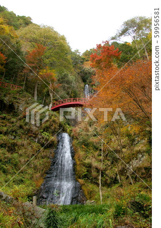 岐阜縣八岳市,秋天,秋天 岐阜縣八岳市,秋天,秋天 59956581