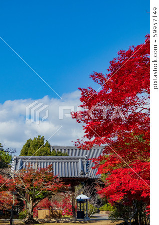 Autumn Kobe, Taishan Temple, Temizuya Autumn Kobe, Taishan Temple, Temizuya 59957149