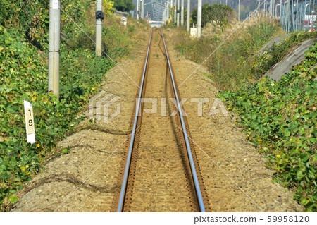 Along the Hachiko Line Along the Hachiko Line 59958120