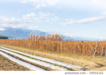 山形村的永形村 山形村的永形村 59958162