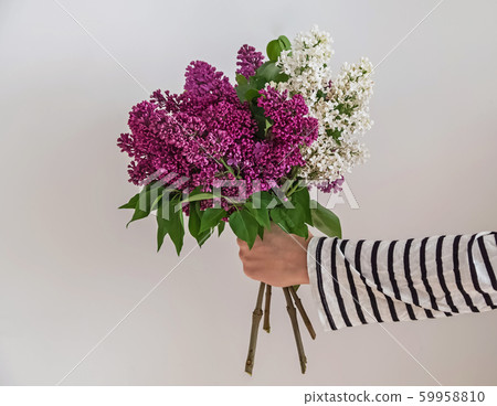 Woman's hand holding a bouquet of beautiful lilac flowe Woman's hand holding a bouquet of beautiful lilac flowe 59958810