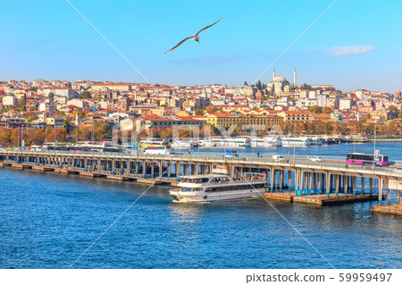 The Ataturk Bridge and Istanbul view, Turkey 59959497
