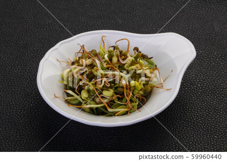 Mash bean sprout Mash bean sprout 59960440