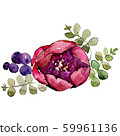 Red rosa. Isolated flower illustration element. Background illustration set. Watercolour drawing 59961136