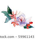 White and red flowers. Isolated flower illustration element. Background set. Watercolour drawing 59961143