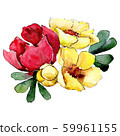 Red and yellow flowers. Isolated flower illustration element. Background set. Watercolour drawing 59961155