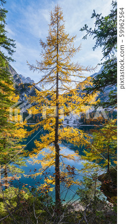 Autumn peaceful alpine lake Braies or Pragser Autumn peaceful alpine lake Braies or Pragser 59962564