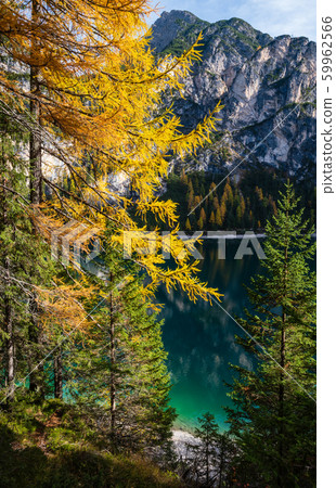 Autumn peaceful alpine lake Braies or Pragser Autumn peaceful alpine lake Braies or Pragser 59962566