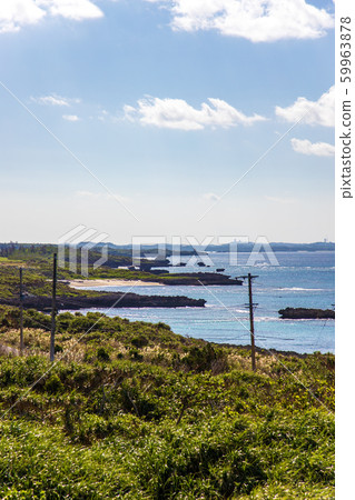 Nishiheinasaki (November, Okinawa sunny) 59963878