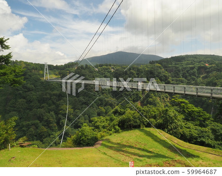 九重“夢想”大型懸索橋的九重橋 九重“夢想”大型懸索橋的九重橋 59964687