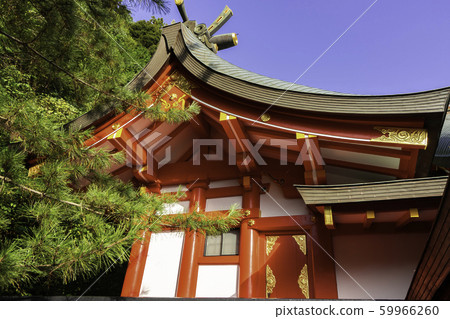 Taikodani Inari Shrine, Shinden, Main Hall, Tsuwano Taikodani Inari Shrine, Shinden, Main Hall, Tsuwano 59966260