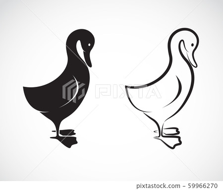 Vector image of a duck design on white background. Vector image of a duck design on white background. 59966270