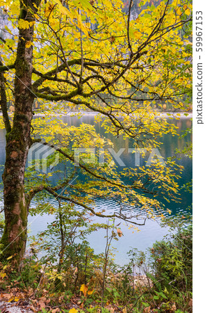 Gosauseen or Vorderer Gosausee lake, Upper Gosauseen or Vorderer Gosausee lake, Upper 59967153