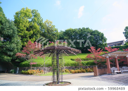Autumn park Autumn park 59968489