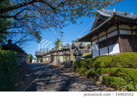 Sa山市富澤市所澤市 59968502