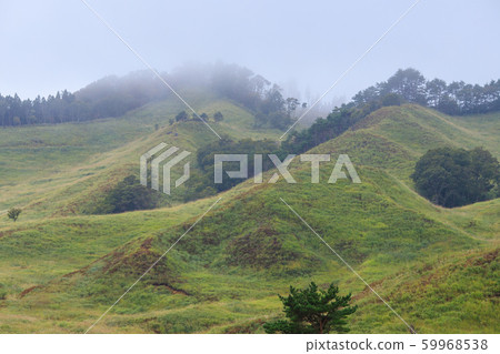 Tonomine Plateau　 59968538