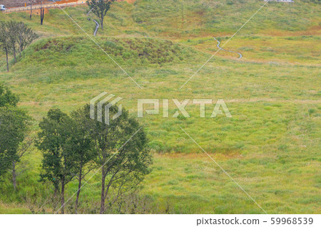 Tonomine Plateau　 59968539