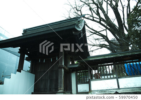 阿蘇市阿蘇神社 59970450