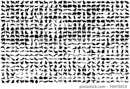 Animal silhouette name 59970819