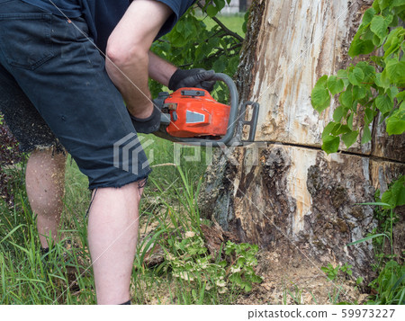 Chainsaw. Close-up of adult man with woodcutter sawing chain saw in motion, sawdust fly to sides. Chop and saw down trees concept. Chainsaw. Close-up of adult man with woodcutter sawing chain saw in motion, sawdust fly to sides. Chop and saw down trees concept. 59973227