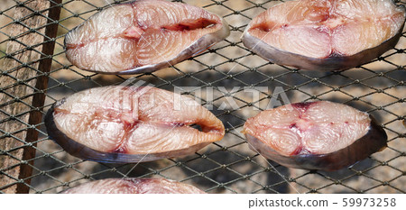 fish, king, mackerel 59973258