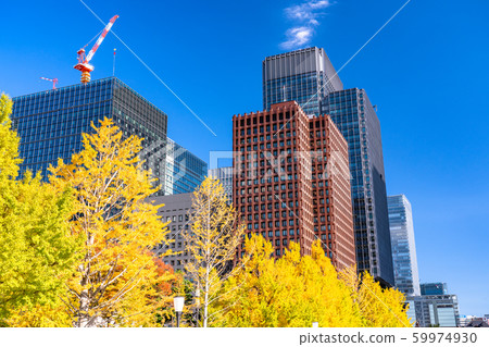 "Tokyo" Marunouchi in autumn "Tokyo" Marunouchi in autumn 59974930